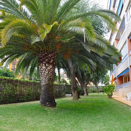 Appartement Punta Prima Sol Spain Torrevieja