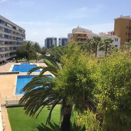 Punta Prima Sol Spain 아파트 또레비에하